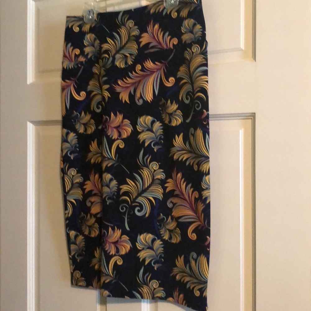 Lularoe Cassie skirt. Worn 2xs.